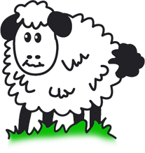 Sheep 200